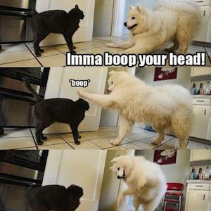 Maldito Alcohol (sped up)