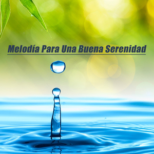 Contribuye A Reducir El Dolor