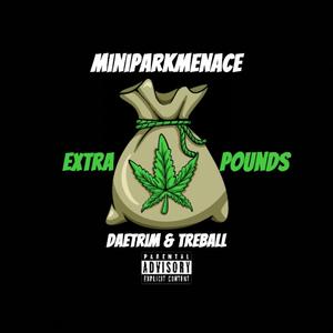 Extra Pounds (feat. DaeTrim & TreBall)