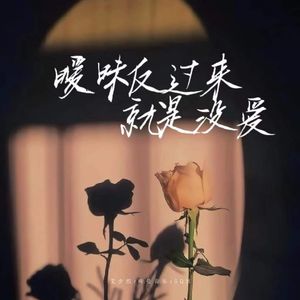 暧昧反过来就是没爱 (0.9xDJ版)