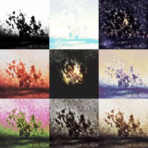 Why Try to Change Me Now