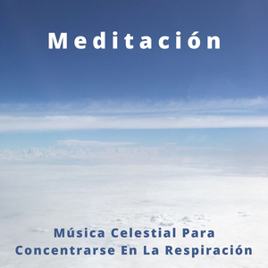 Música Satisfactoria