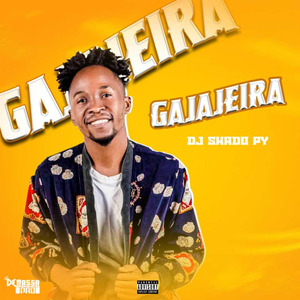 Gajajeira