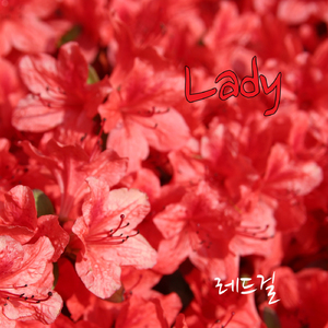 Lady