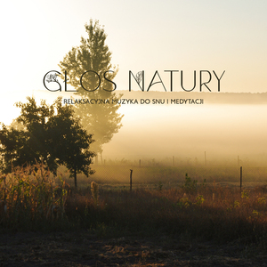 Pora Deszczowa w Sawannie