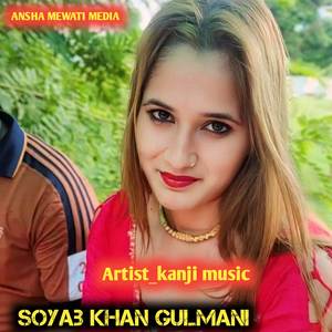 Soyab Khan gulmani