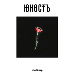 Не красивый