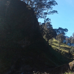 Nafas semesta (Cover)