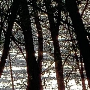 暗透光（Prod.tried)