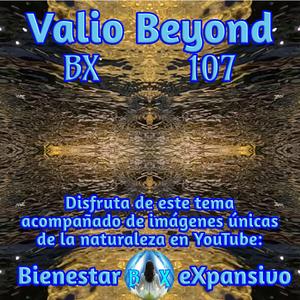 BX 107 Infinidades