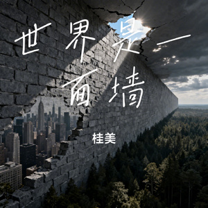 世界是一面墙