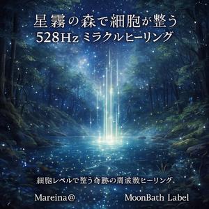 霧の粒に整う心の波