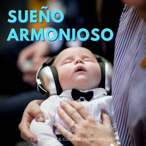 Pradera Armoniosa De La Naturaleza