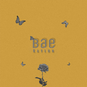 Bae