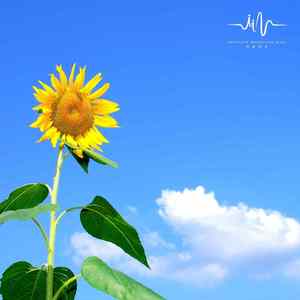 修禅之路 (洗涤心灵萧曲)