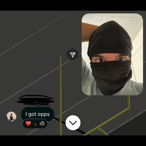 spy (birdbusinness)