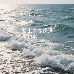 赌上青春换满身伤痕