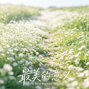 最美的意义