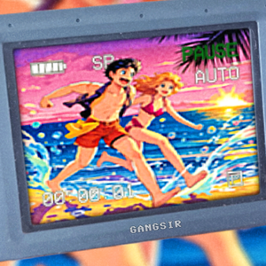 和你撞进夏天海风里