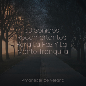 Ecos de Éxtasis Tranquilo