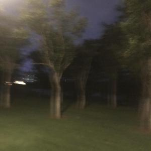 can't take my eyes off you