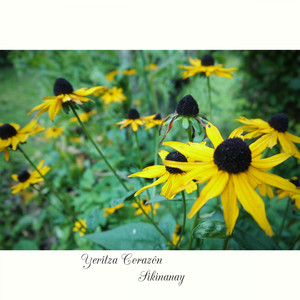 El Tiempo y la Distacia