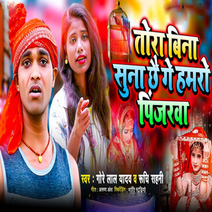 Tora Bin Suna Chhe Ge Hamro Pinjarva