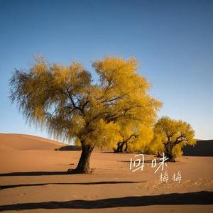 回味 (Cover 彭佳慧)