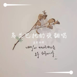 乌兰巴托的夜
