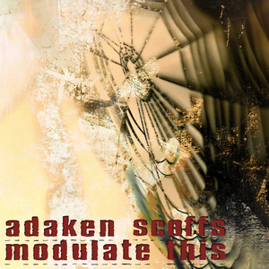 Modulate This (Original Mix)