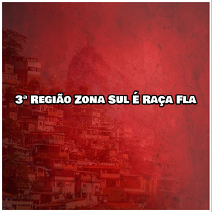 3ª Região Zona Sul É Raça Fla