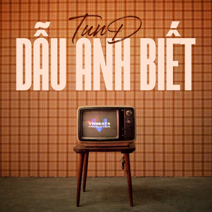 Dẫu Anh Biết (Instrumental)