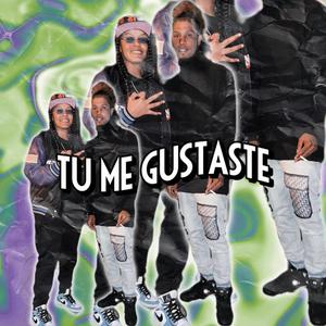 Tu me gustaste (feat. El blins)