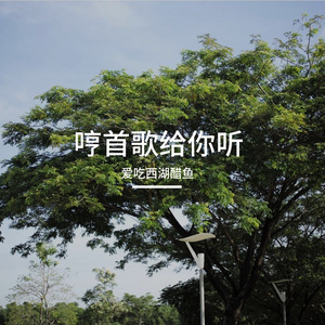 菲林里的十七岁