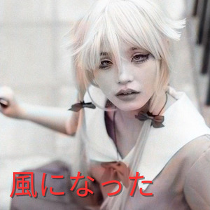 風になった