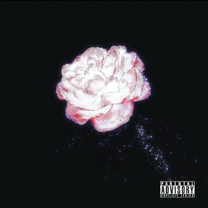 ****ing Life Freestyle