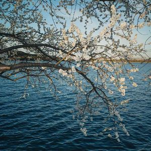午后庭院的茶香暖阳
