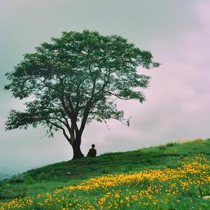 世界上没有谁能一直陪着谁