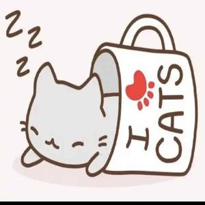 Its show time (feat. Dennis) (Radio Edit)