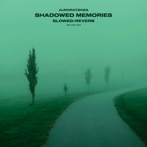 virane (slowed + reverb)