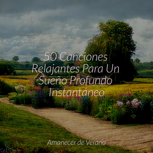 Armoniosa Alquimia del Sonido