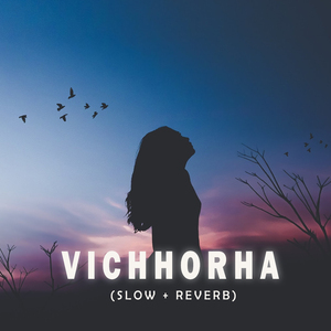 Vichhorha (Slow Reverb)