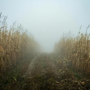 A Walk In His Footsteps