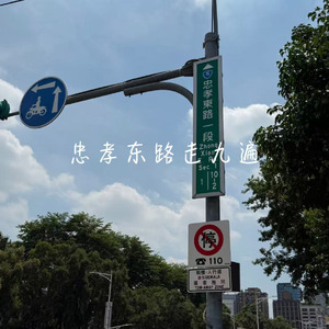 忠孝东路走九遍(沧桑版)