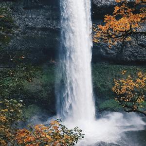 古风 舒缓 修仙