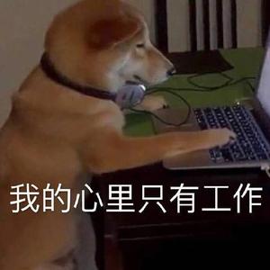 我真的不是舔狗Prod by Yzz