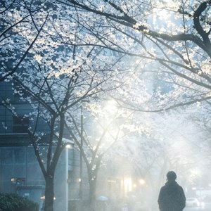 未だサヨナラ（未曾说出口的再见）