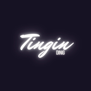 Tingin