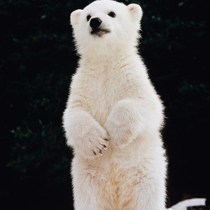 Factory of Faith (slowed)