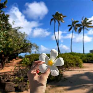 Улетали птицами гордым笼中鸟何时飞